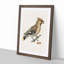 Bohemian Waxwing by Von Wright - Picture Frame Graphic Art Print-55513077-55513073