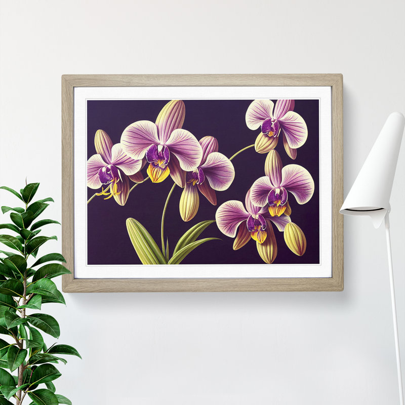 Captivating Orchid Flowers - Framed Print, Oak, 46cm H x 64cm W x 2cm D