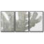 Stone Macro Coral I, impression sur toile 3 pièces-1937461410-1937461412