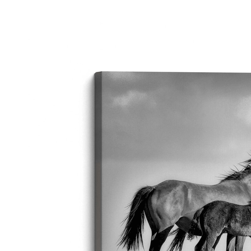 «Family of Wild Horses», reproduction sur toile , H 12 po x l 18 po x P 1,25 po, Toile tendue