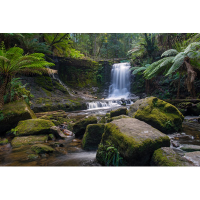Horseshoe Falls, Mount Field by DarrenTierney - Wrapped Canvas Print