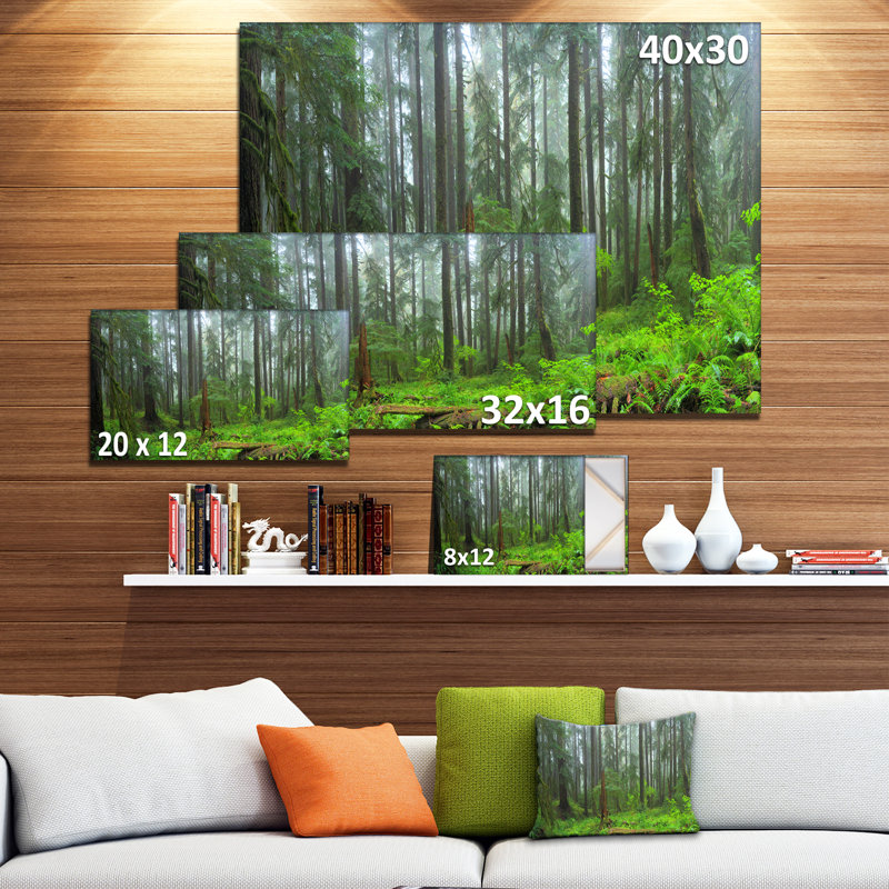 Hoh Rain Forest - reproduction de photo sur toile tendue, H 20 po x l 20 po x P 1 po, Toile tendue