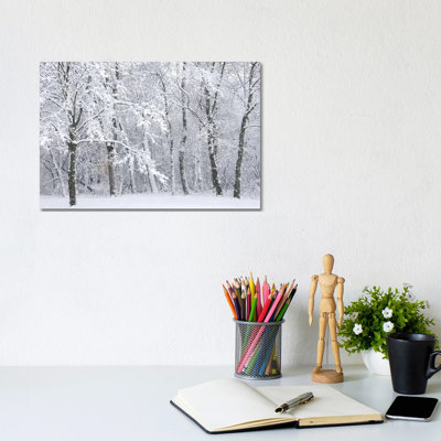 Snowstorm by Brian Wolf - Wrapped Canvas Print