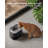 Dockstream Battery Operated Cat Water Fountain+ 1 Replacement Wireless Pump-99204715