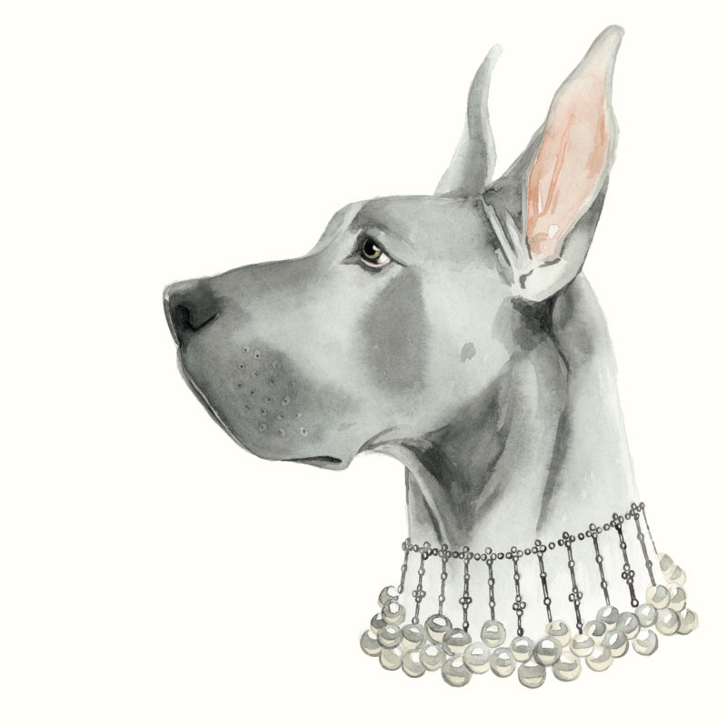 Haute Hounds I by Grace Popp - Wrapped Canvas Print, 122cm H x 122cm W