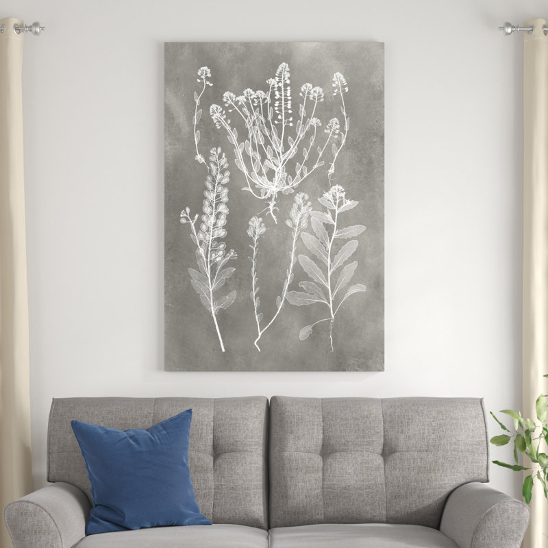 «Herbarium Study III» par Vision Studio, reproduction d'art sur toile, H 13,625 po x l 9,625 po x P 1 po, Cadre blanc