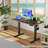 Extra Large Standing Desk Electric Height-Adjustable-128456021-128456020