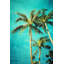 Sylvia Cook - Wrapped Canvas Print-1946469718