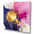 Wrapped Canvas