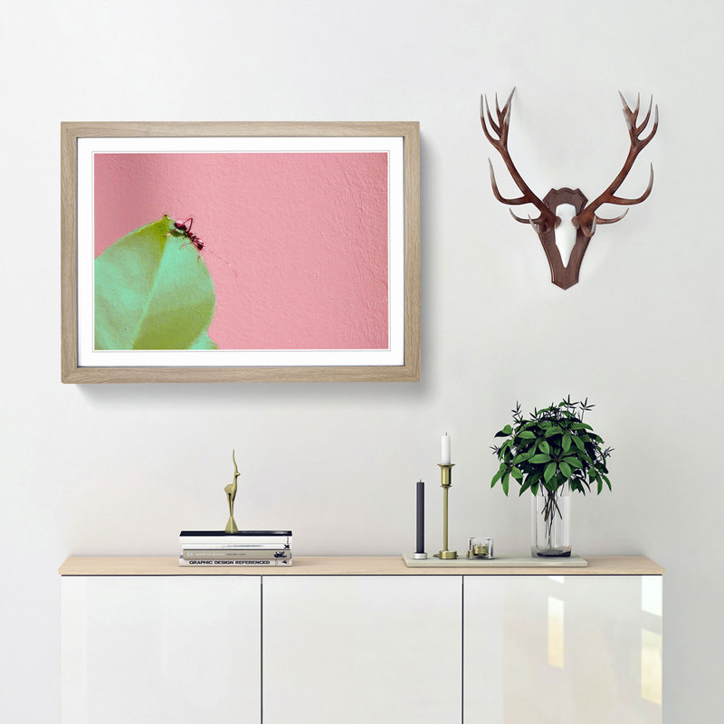 Red Ant - Picture Frame Photograph Print, Oak Framed, 48cm H x 65cm W x 2cm D