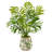 Mini Areca Palm Artificial Plant in Floral Vase
