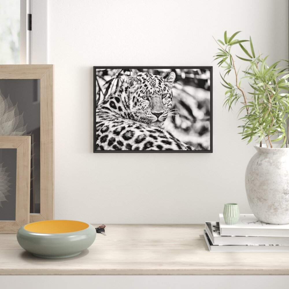 Gerahmtes Wandbild aufmerksamer LeopardSchatten