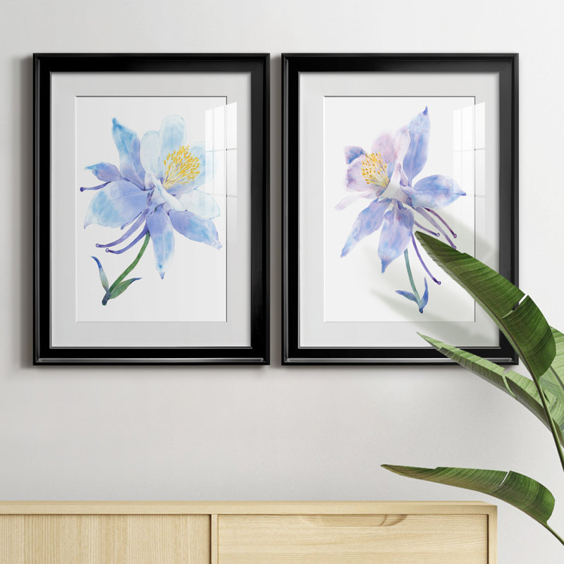 «Columbine Bloom I», reproduction encadrée de qualité supérieure, prête à être accrochée, Cadre noir