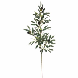 Faux Black Olive Branch