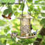 Mangeoire à oiseaux Robida