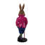 Jack le lapin