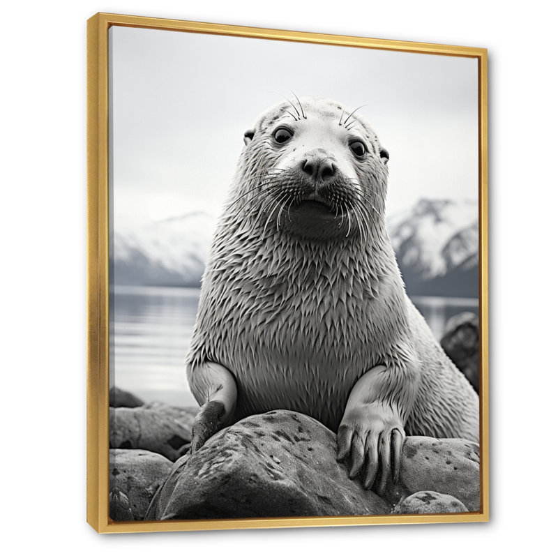 Lamarc, sceau de l'Arctique de l'Alaska - impression, H 32 po x l 16 po x P 1 po, Cadre flottant doré