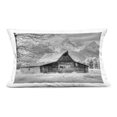 Sign of the Feather Barn Landscape Decorative Printed Throw Pillow, design by Jadei Graphics