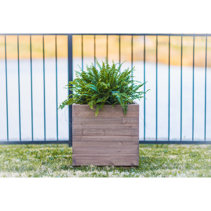 Boîte à fleurs Azha, H 18,3 po x l 18 po x P 18 po