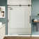 56" - 60" W x 76" H Single Sliding Frameless Shower Door with Cleancoat Glass