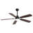 Modern 52 Inch Led Ceiling Fan With 110V 6 Speed Wind 5 Blades Remote Control Reversible DC Motor With Light-750371968-750371980