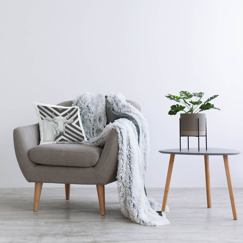 No Decorative Addition Throw Pillow