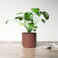 Parsons Handmade Ceramic Pot Planter-149358868-149358870