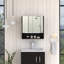 Armoire à miroir, trois tablettes internes, une tablette ouverte, armoire à deux portes
