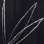 Abstract Botanic Line Drawing Print by Roseanne Kenny-1180932611