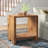 Fraizer Modern Sofa