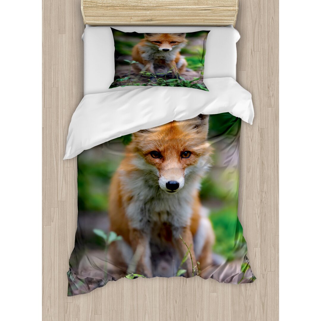 Bettbezug Set, Junge Coyote Foto, Fuchs, Ginger Mehrfarbig