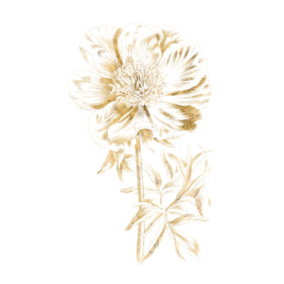 Gilded Botanical VIII by Wild Apple Portfolio - Wrapped Canvas Painting