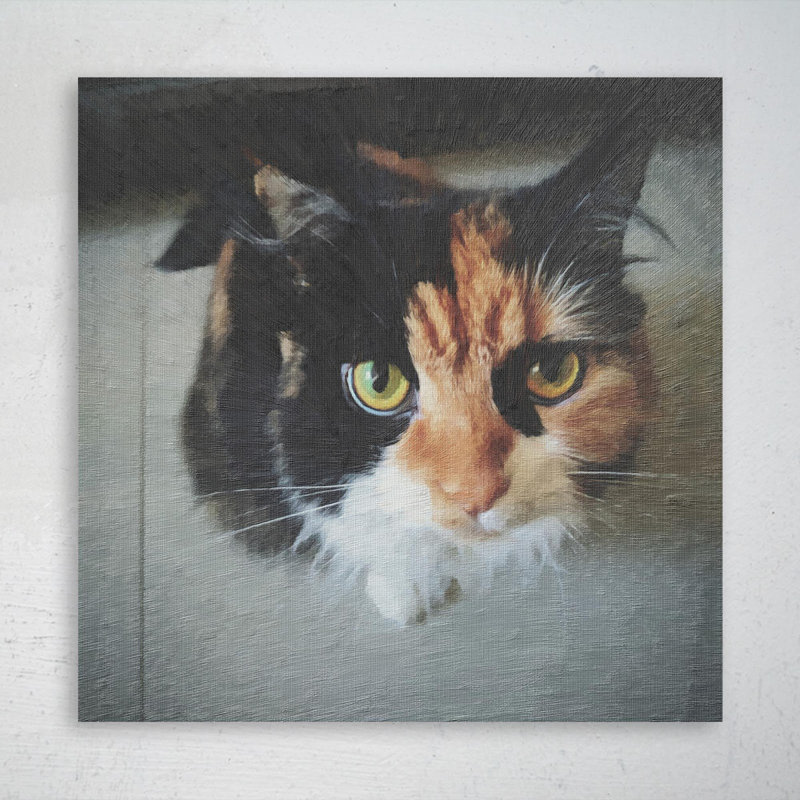 Calico Cat - 1 pièce, impression carrée sur toile tendue, H 12 po x l 12 po
