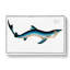 Blue Shark by M.E. Bloch - Wrapped Canvas-55362495