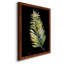 Frond I - reproduction de cadre photo sur papier-1573226224-1573226231