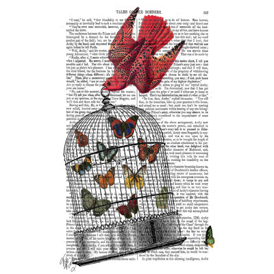 " Flying Birdcage " by Fab Funky