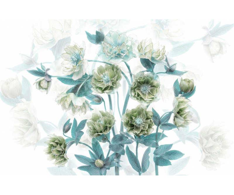 Wrapped Canvas Print, 81.28 cm H x 121.92 cm W