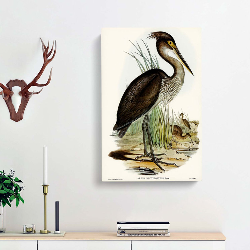 Great-Billed Heron by Elizabeth Gould - Wrapped Canvas, 60cm H x 40cm W x 3cm D