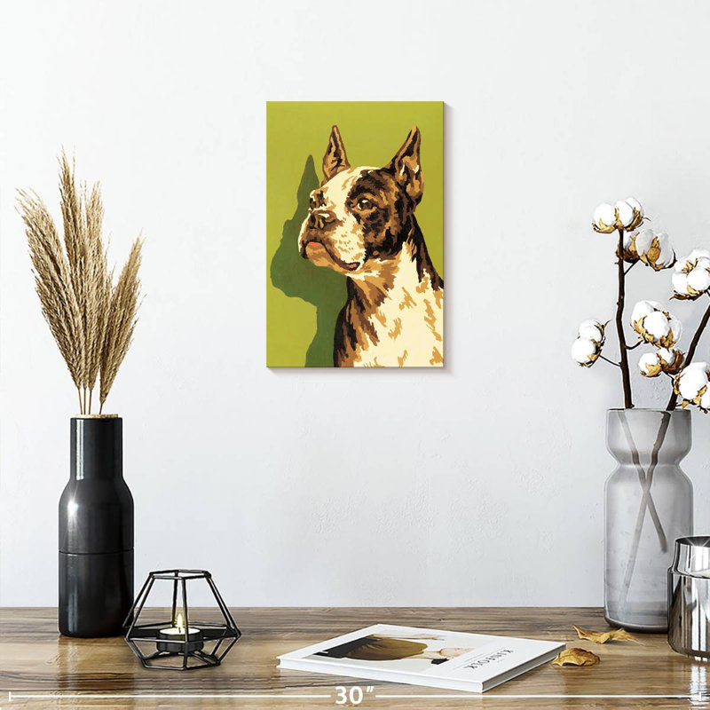 Boston-terrier, H 12 po x l 8 po