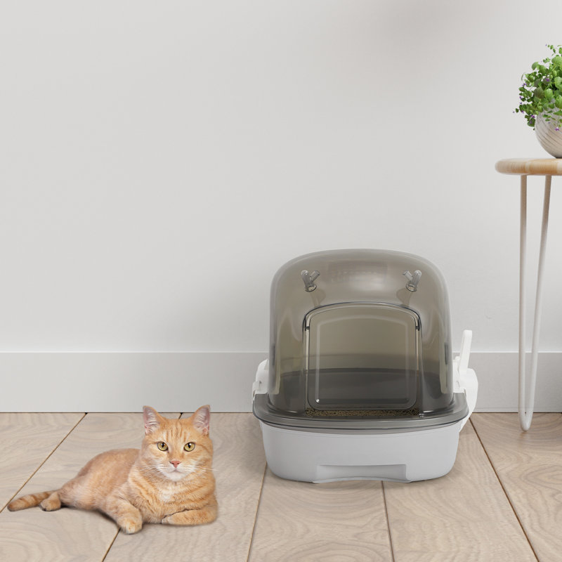 Bac à litière transparent pour chat avec bois
