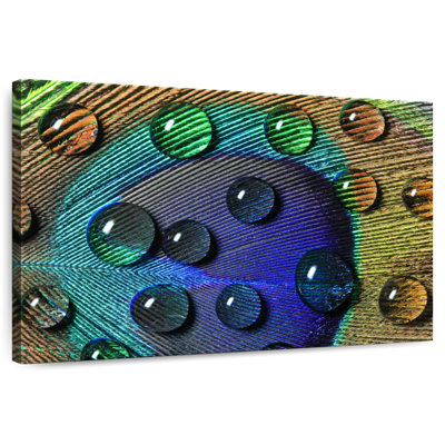 Kerner Peacock Feather Dews