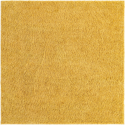 Indoor Rug