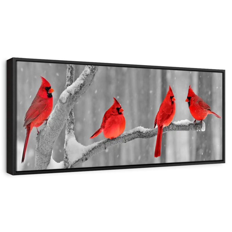 Cardinal, 37 po x 13 po, Cadre flottant noir