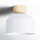 Raela 9 In. 1-Light 60-Watt Contemporary Matte White Flush Mount With Matte White Metal Shade Shade