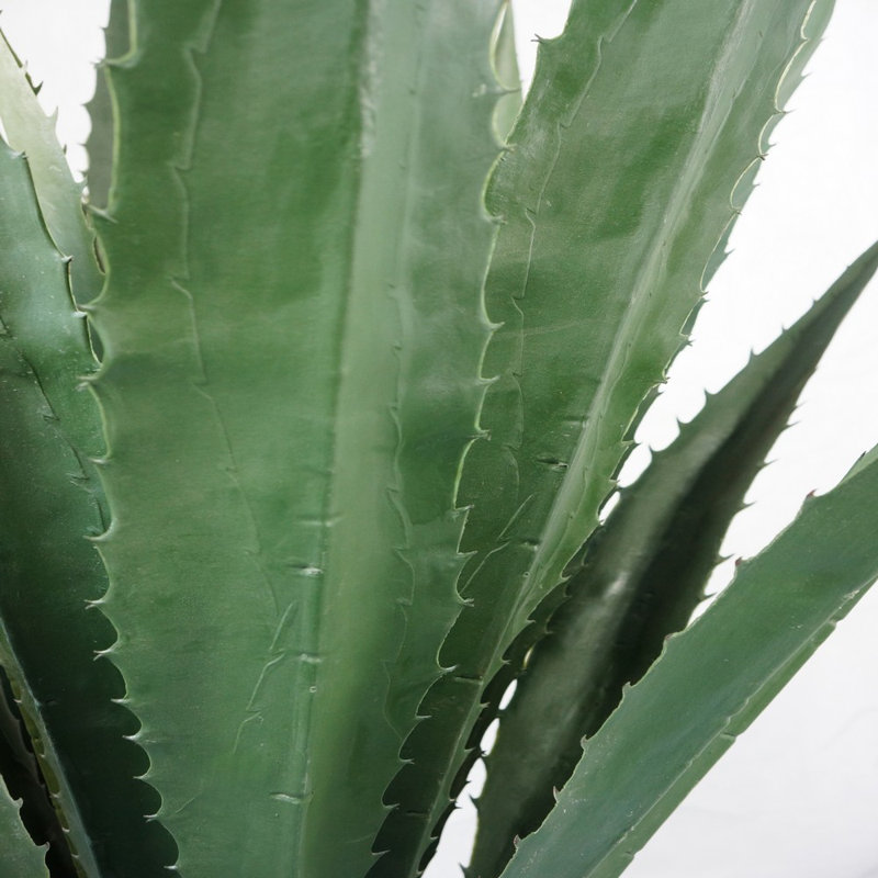 Agave artificielle de 63,5 po Roemer
