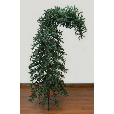 120' Pine Christmas Tree