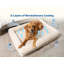 Lit pour chien à 4 traverses PupChill Cooling - Sable arctique