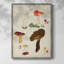Reproduction encadrée de champignon Mushroom Species-1974865405