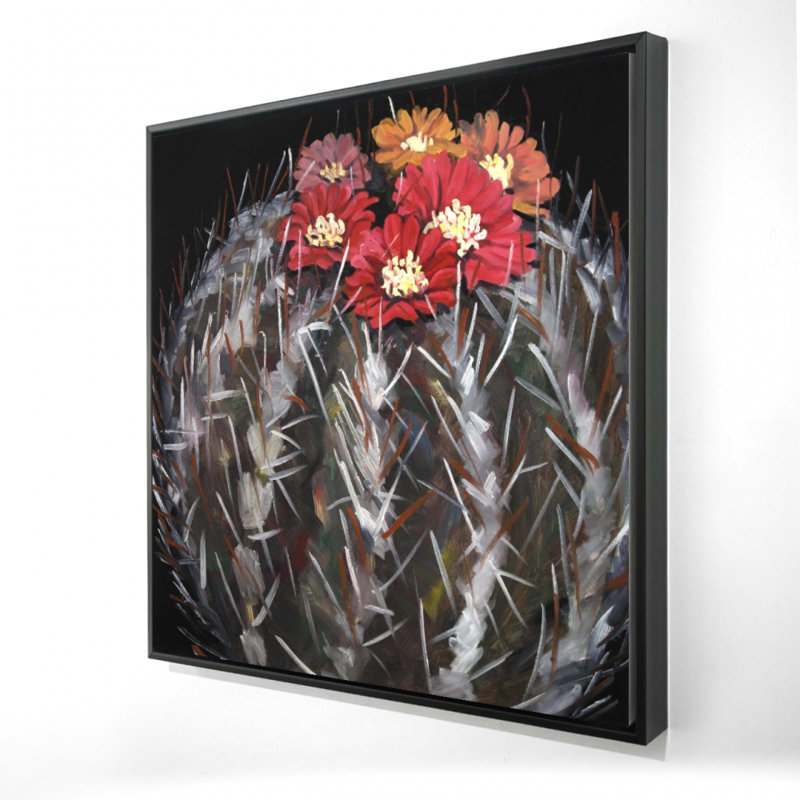 " Mammillaria Cactus In Bloom "