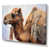 Wrapped Canvas